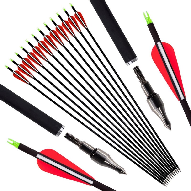 Luoyer 12Pcs Archery Hunting Arrows for Compound Bow Recurve Bow with Removable Tips Adjustable Nocks for Adults Hunting Targeting 30inch - Image 1